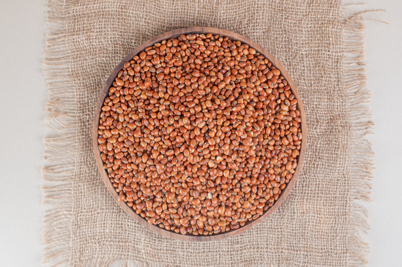 Browntop Millet