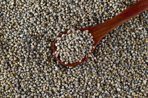 Bajra (Pearl Millet)